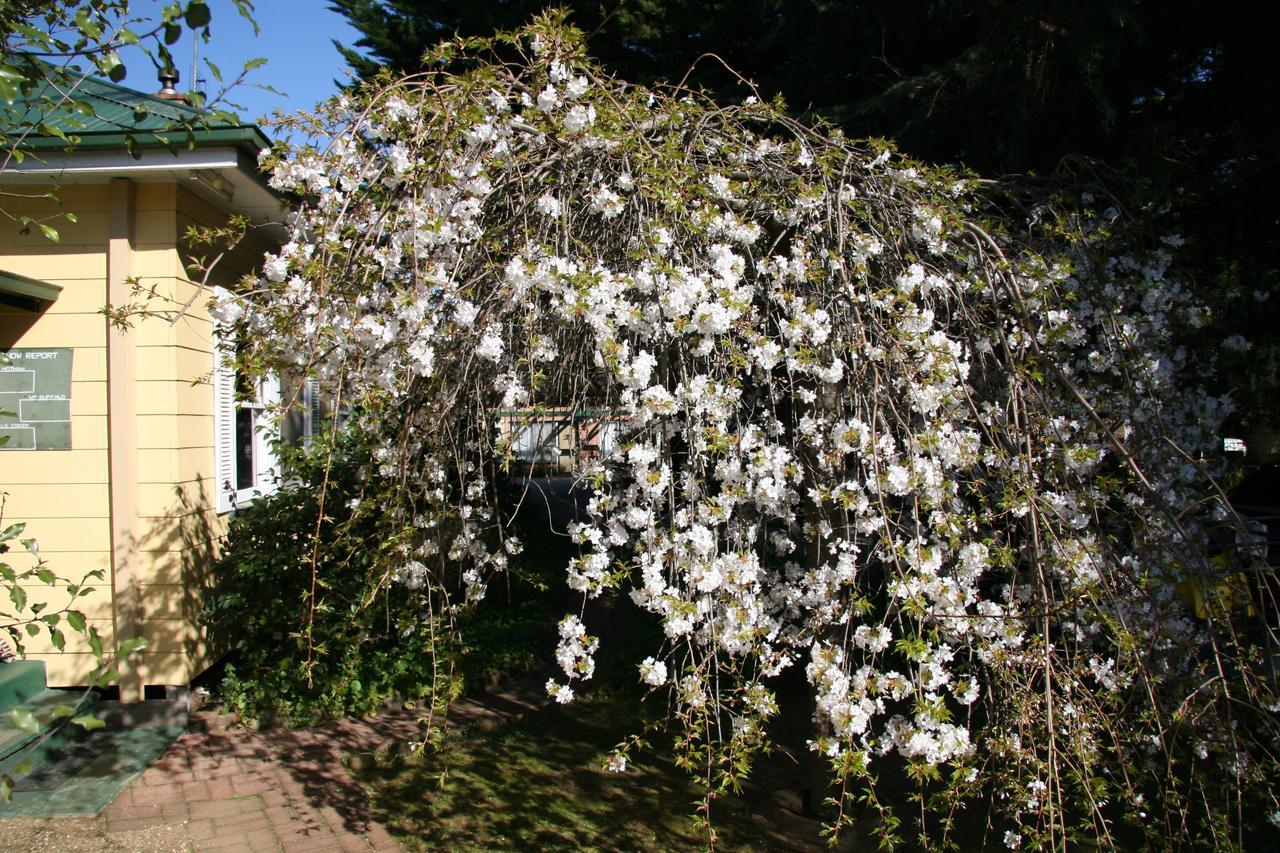 فيلا Carawatha Gardens برايت المظهر الخارجي الصورة