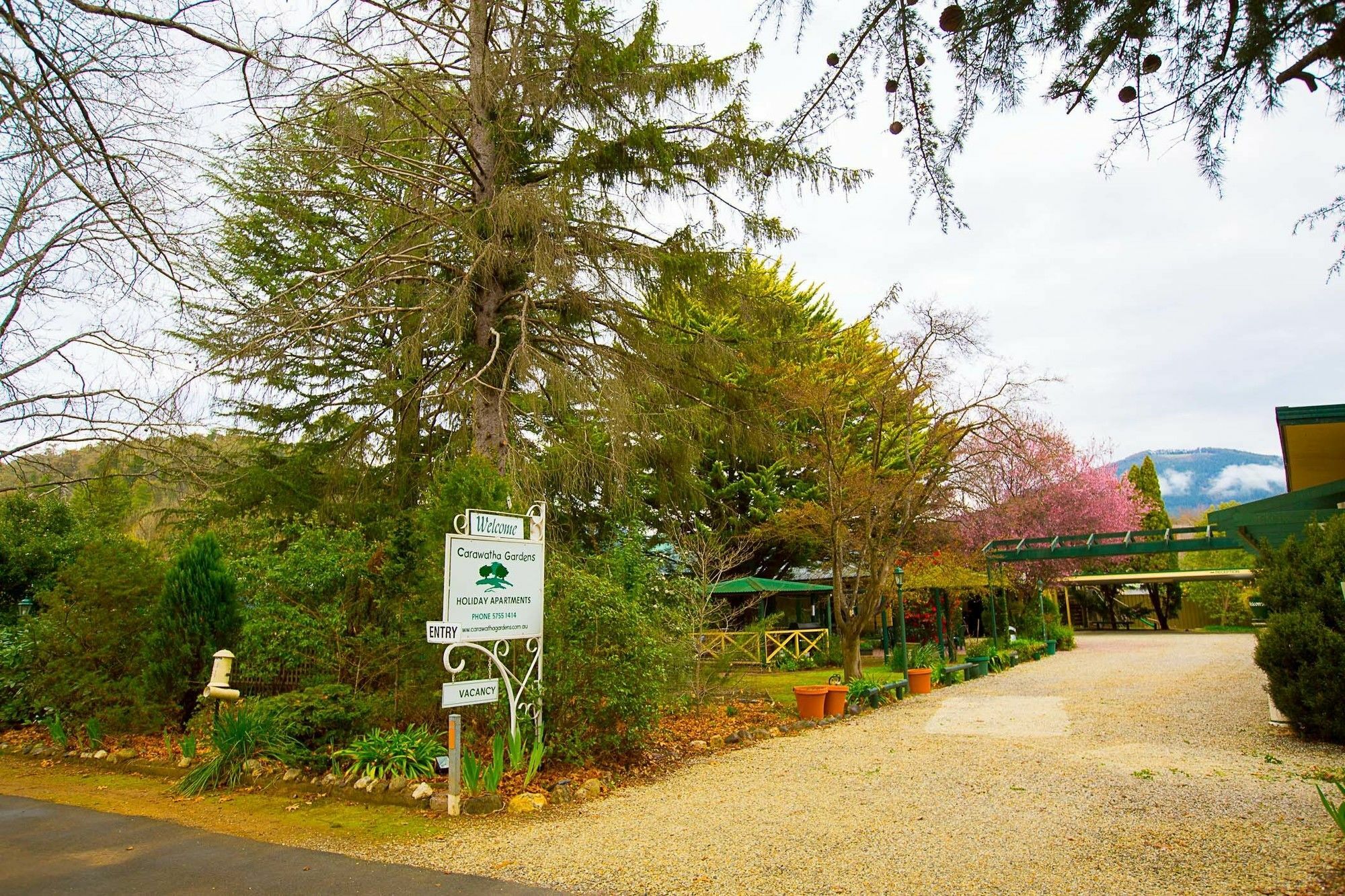فيلا Carawatha Gardens برايت المظهر الخارجي الصورة