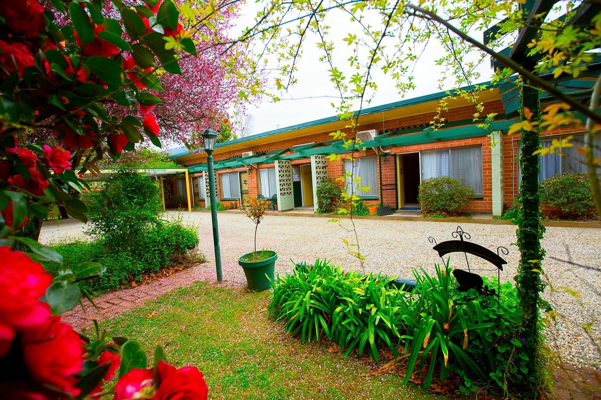 فيلا Carawatha Gardens برايت المظهر الخارجي الصورة