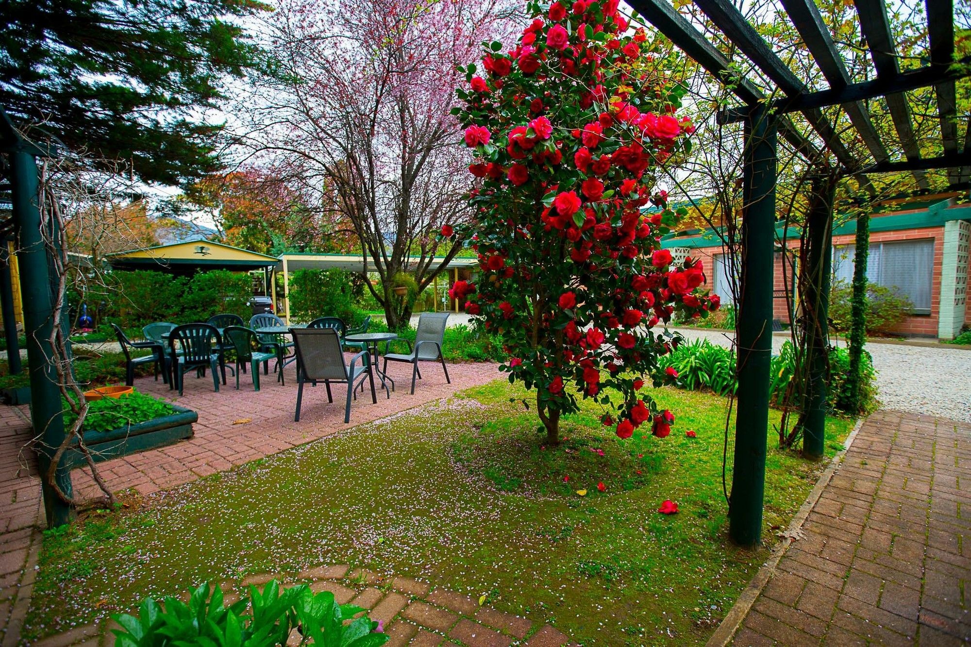 فيلا Carawatha Gardens برايت المظهر الخارجي الصورة
